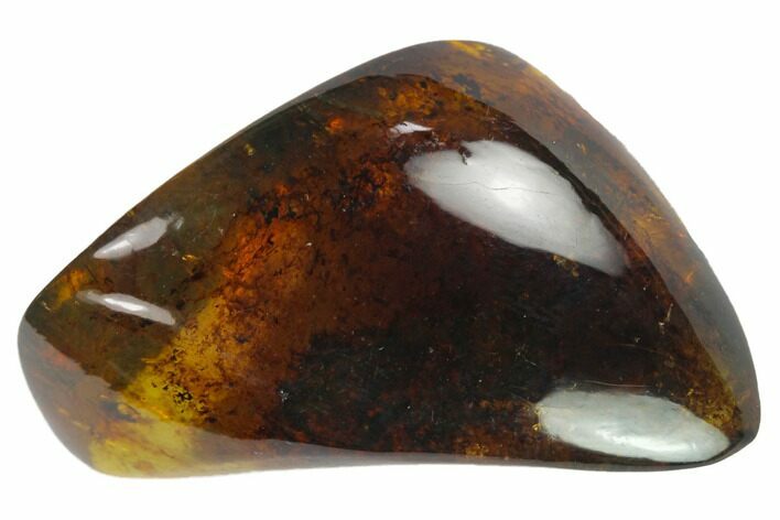 Polished Chiapas Amber ( g) - Mexico #114839